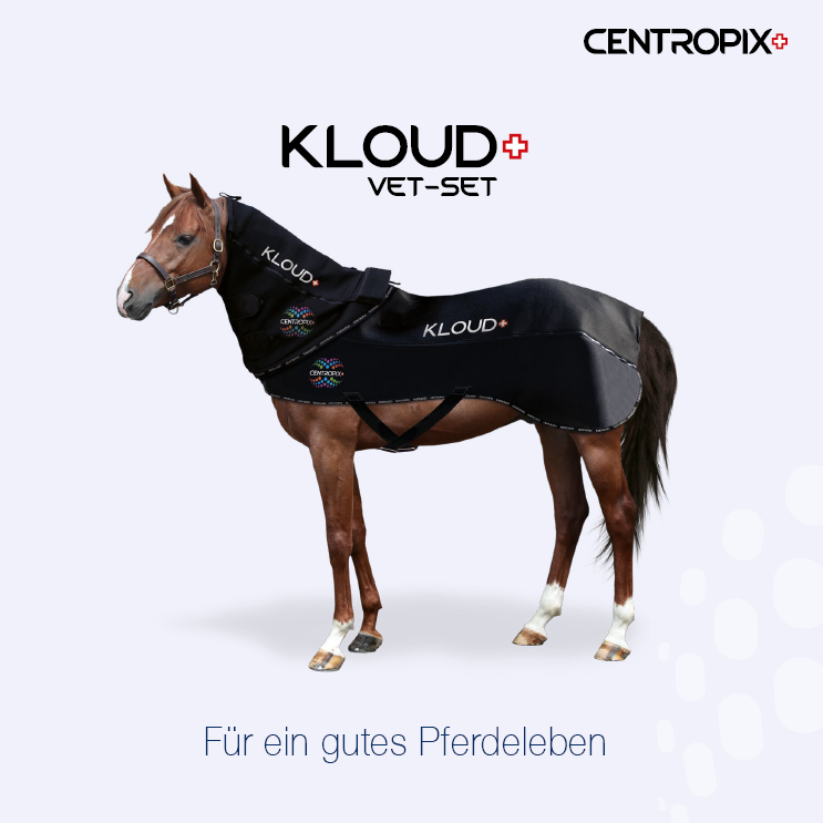 Broschüre KLOUD-VET